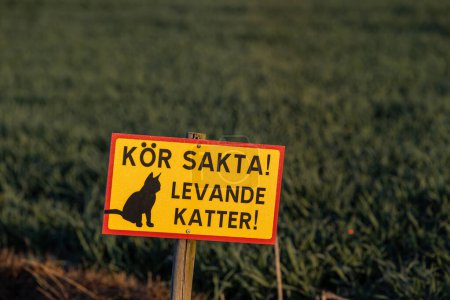 Téléchargez les photos : Stockholm, Suède Un panneau en suédois dit Conduisez prudemment, chats vivants. - en image libre de droit