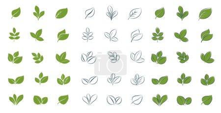 Ilustración de Conjunto de simples hojas verdes para diseño ecológico. Estilo plano y lineal en una ilustración vectorial - Imagen libre de derechos