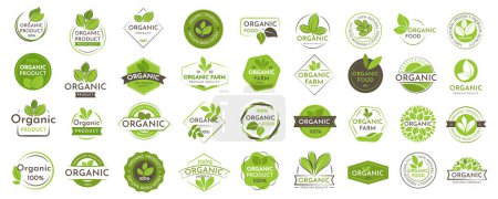 Illustration for Set of Organic product logo. Food stamps, badges and emblems with leaves in a vector illustration - Royalty Free Image