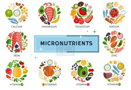 La infografía de alimentos sobre micronutrientes, vitaminas, plantilla de diseño en una ilustración vectorial