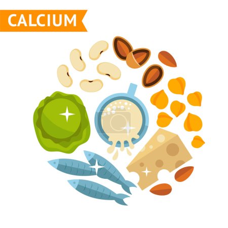 Illustration for The set of food info graphic for product calcium, design template in a vector illustration - Royalty Free Image