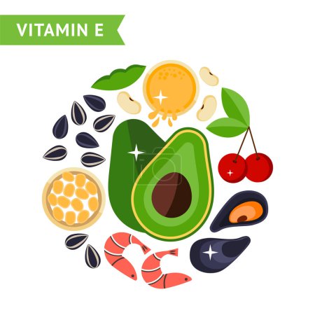 Ensemble d'icônes alimentaires contenant de la vitamine E, utilisé pour les graphiques d'information, les modèles de conception, l'illustration vectorielle plate