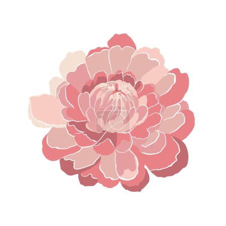 Illustration for Modern abstract peony flower. Vector cute illustration on white background. - Royalty Free Image