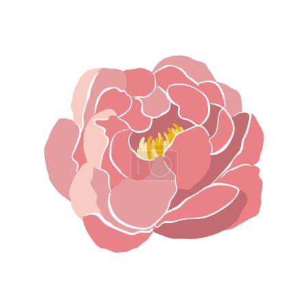 Illustration for Modern abstract peony flower. Vector cute illustration on white background. - Royalty Free Image