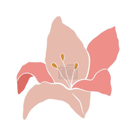 Illustration for Modern abstract lily flower. Vector cute illustration on white background. - Royalty Free Image