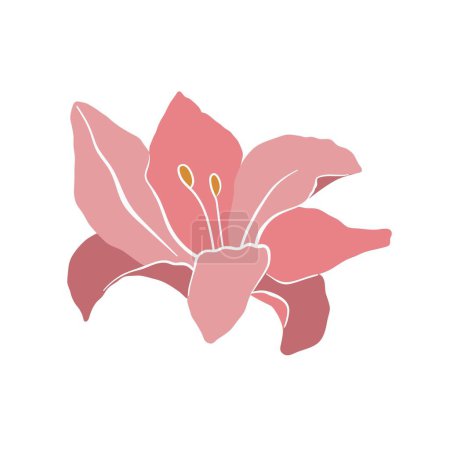 Illustration for Modern abstract lily flower. Vector cute illustration on white background. - Royalty Free Image