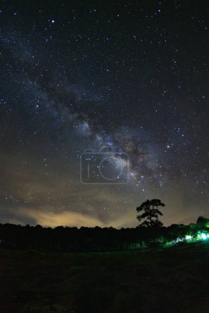 Photo for Milky way galaxy and silhouette of tree with cloud at Phu Hin Rong Kla National Park,Phitsanulok Thailand - Royalty Free Image
