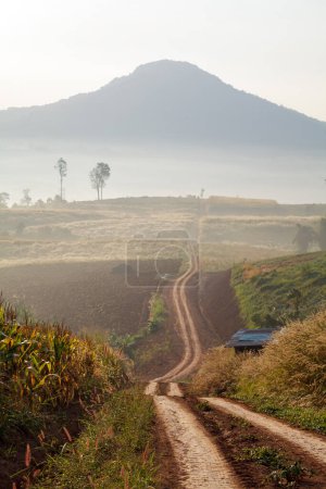 Téléchargez les photos : Chemin de terre menant à travers la forêt tôt au printemps par un matin brumeux à Khao Takhian Ngo View Point à Khao-kho Phetchabun, Thaïlande - en image libre de droit
