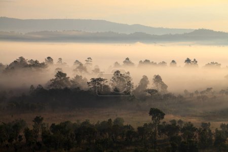 nebliger morgendlicher Sonnenaufgang im thung salang luang nationalpark phetchabun, tung slang luang ist grasland savanne in thailand
