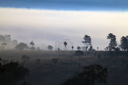 Foto de Misty amanecer de la mañana en Thung Salang Luang National Park Phetchabun, Tung argot luang is Grassland savannah in Thailand - Imagen libre de derechos