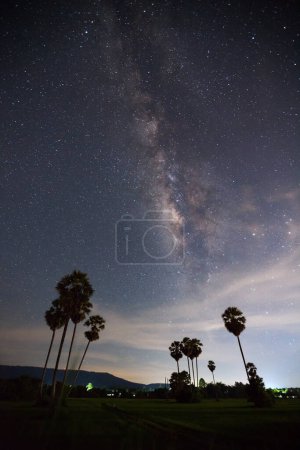 Foto de Silueta de Azúcar Plam Tree y Vía Láctea con nube - Imagen libre de derechos
