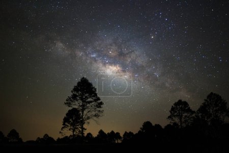 Téléchargez les photos : Silhouette paysagère d'arbre à la galaxie laiteuse et poussière d'espace dans l'univers, Ciel étoilé nocturne avec étoiles - en image libre de droit