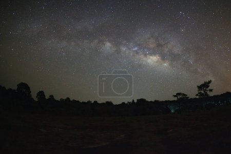 Foto de Galaxia de la vía láctea y silueta de árbol con luz roja en el Parque Nacional Phu Hin Rong Kla, Phitsanulok Tailandia - Imagen libre de derechos