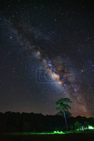 Téléchargez les photos : Galaxie de la voie lactée et silhouette de l'arbre avec nuage au parc national Phu Hin Rong Kla, Phitsanulok Thaïlande - en image libre de droit