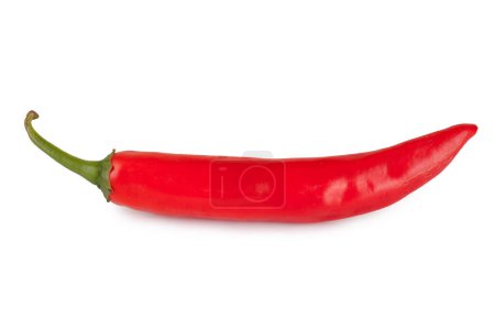 Foto de Chile rojo o chile pimienta de cayena aislada sobre fondo blanco - Imagen libre de derechos
