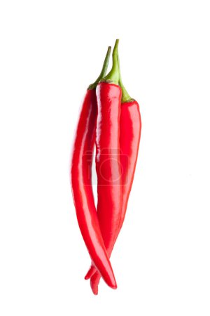 Foto de Chile rojo o chile pimienta de cayena aislada sobre fondo blanco - Imagen libre de derechos