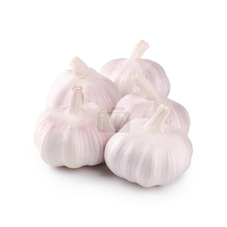 Photo for Fresh garlic on white background - Royalty Free Image