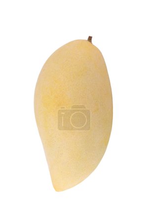 Téléchargez les photos : Mangue jaune sur fond blanc - en image libre de droit