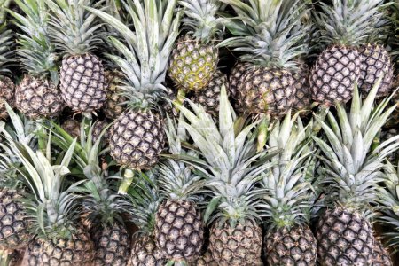 Photo for Fresh pineapple in local market - Royalty Free Image
