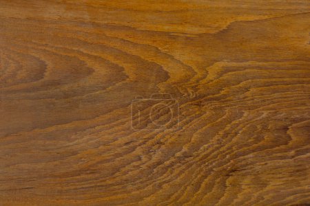 Photo for Old wood texture background on nature - Royalty Free Image