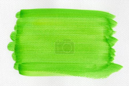 Photo for Abstract green watercolor on white background.The color splashing on the paper.It is a hand drawn. - Royalty Free Image