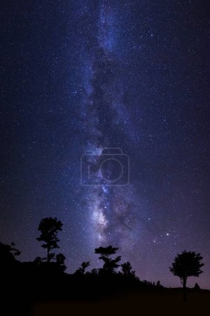 Foto de Hermosa milkyway y silueta de árbol en un cielo nocturno con estrellas y polvo espacial en el universo - Imagen libre de derechos