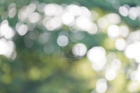 Photo for Abstract circular bokeh nature background of light - Royalty Free Image