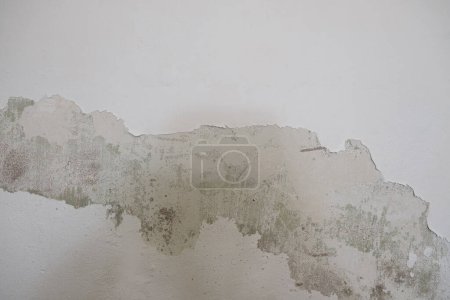 Téléchargez les photos : Vieux fond en béton blanc - en image libre de droit