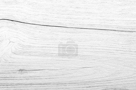 Photo for White wood texture background - Royalty Free Image
