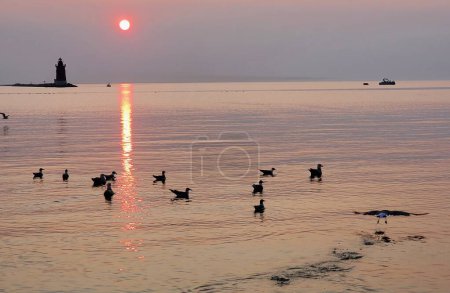 Foto de Silueta del faro y aves silvestres durante la puesta de sol en Cape Henlopen State Park, Lewes, Delaware, EE.UU. - Imagen libre de derechos