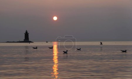 Photo for Silhouette of the lighthouse and wild birds during the sunset at Cape Henlopen State Park, Lewes, Delaware, U.S - Royalty Free Image