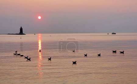 Photo for Silhouette of the lighthouse and wild birds during the sunset at Cape Henlopen State Park, Lewes, Delaware, U.S.A - Royalty Free Image