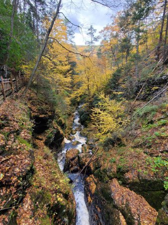Beautiful top view of the creek surrounded by stunning fall foliage near Bushkill Falls, Pennsylvania, U.S