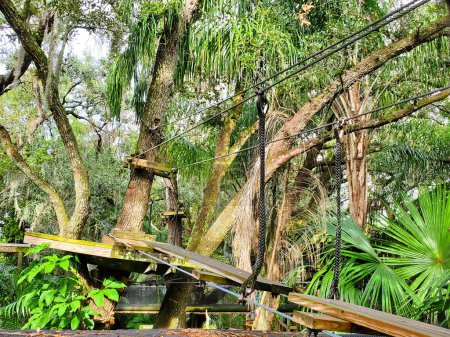 The thrilling adventure courses trail on the trees at Brevard Zoo, Melbourne, Florida, U.S.A