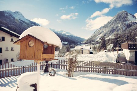 Téléchargez les photos : Maison d'oiseaux en bois couverte de neige le matin ensoleillé d'hiver. Se réveiller dans un jardin enneigé sur un appartement de station de ski. - en image libre de droit
