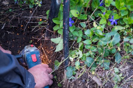 Téléchargez les photos : Vue détaillée du travailleur enlevant une clôture métallique à l'aide d'une meuleuse d'angle. Entretien et amélioration du jardin. Préparation du printemps. - en image libre de droit
