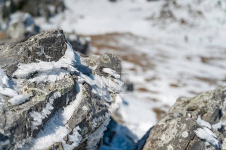 Téléchargez les photos : Rochers couverts de glace montrant la direction du vent soufflant dans la montagne. Conditions hivernales sur Velika Planina, Slovénie. - en image libre de droit