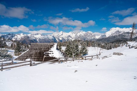 Téléchargez les photos : Vue pittoresque sur la cabane traditionnelle en bois de pâturage. Valika Planina, Slovénie. - en image libre de droit