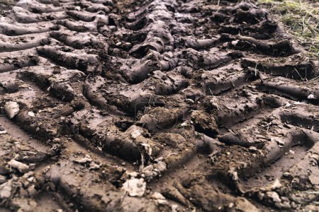 Photo for Truck tire traces on the muddy road. - Royalty Free Image