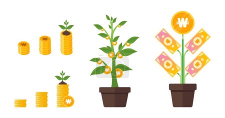 Téléchargez les illustrations : Korean Won Money Tree Growing - en licence libre de droit