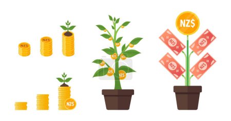 Téléchargez les illustrations : New Zealand Dollar Money Tree Growing - en licence libre de droit