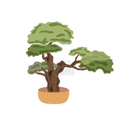 Illustration for Decorative bonsai tree in a flower pot, domestic plant simple cartoon vector illustration, Japanese traditional culture element in simple flat style - Royalty Free Image