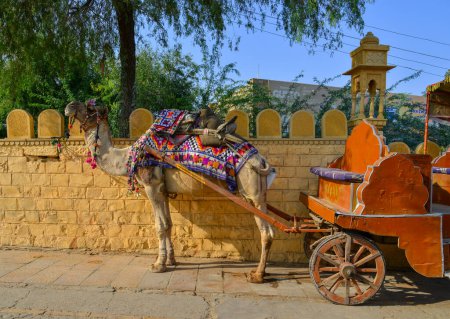 Foto de Jaisalmer, India - Nov 10, 2017. Camello esperando al turista en la calle. Jaisalmer es un antiguo centro comercial medieval en el estado indio occidental de Rajastán.. - Imagen libre de derechos