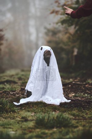 Foto de El perro está disfrazado de fantasma para Halloween. Foto de alta calidad - Imagen libre de derechos