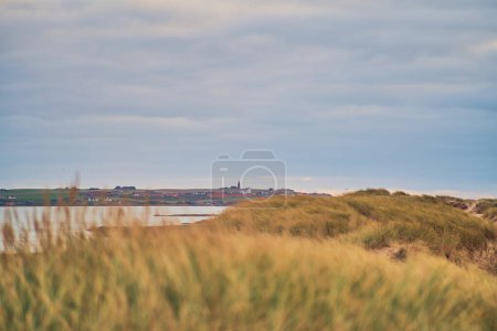 Blick von Vejlby Klit auf Ferring an der dänischen Westküste. Hochwertiges Foto