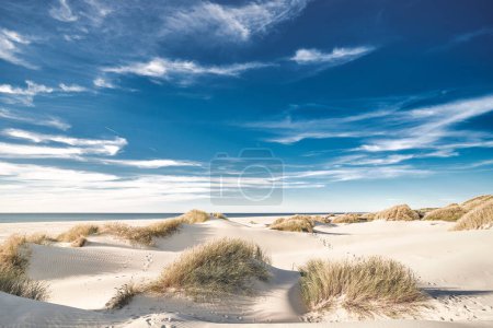 Weißer Sand in Norddänemark. Hochwertiges Foto