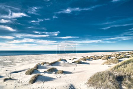 larges dunes de sable blanc dans le nord du Danemark. Photo de haute qualité