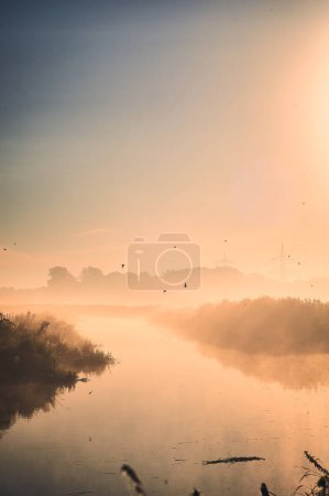 Foto de Misty Morning con golondrinas volando sobre un pequeño río. Foto de alta calidad - Imagen libre de derechos