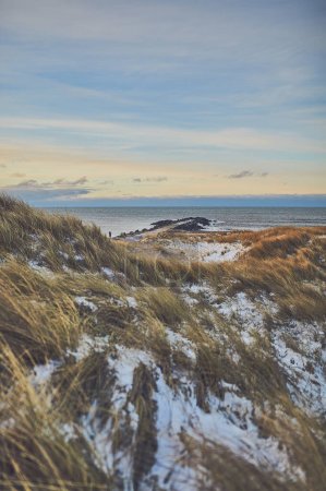 Photo for Snowy dunes at Danish beach on cold winter day. High quality photo - Royalty Free Image