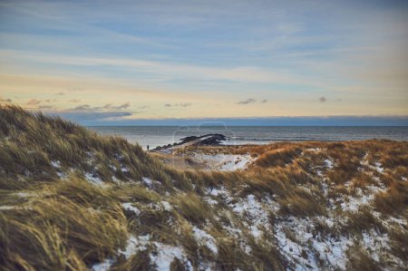 Photo for Snowy dunes at Danish coast on cold winter day. High quality photo - Royalty Free Image